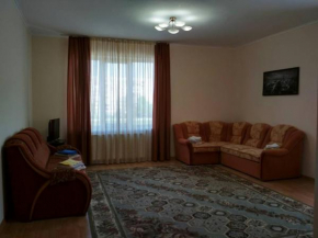 Apartments Domovik Просторная квартира с видом на горы